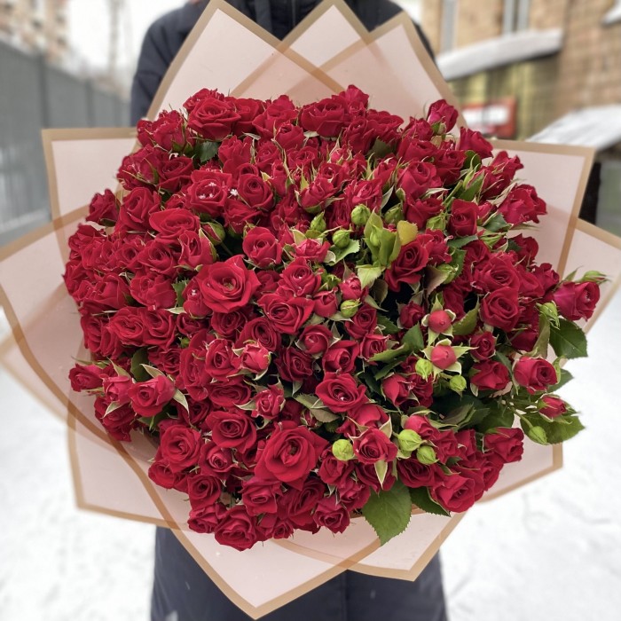 51 кустовая красная роза Рубикон 50 см